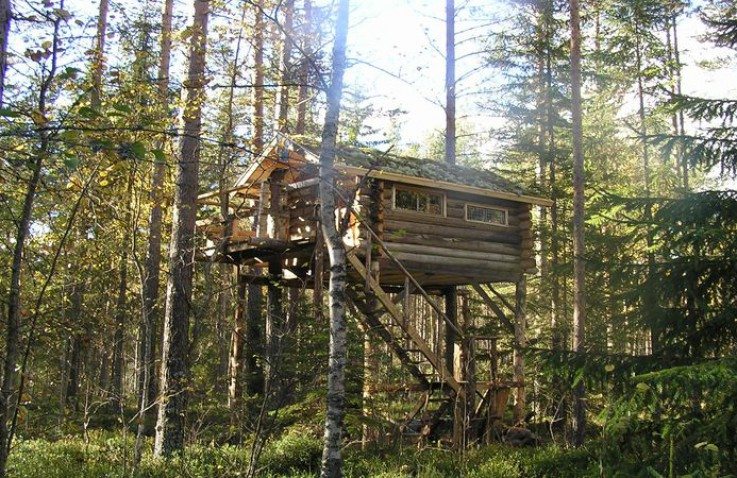 overnachten in boomhut Zweden