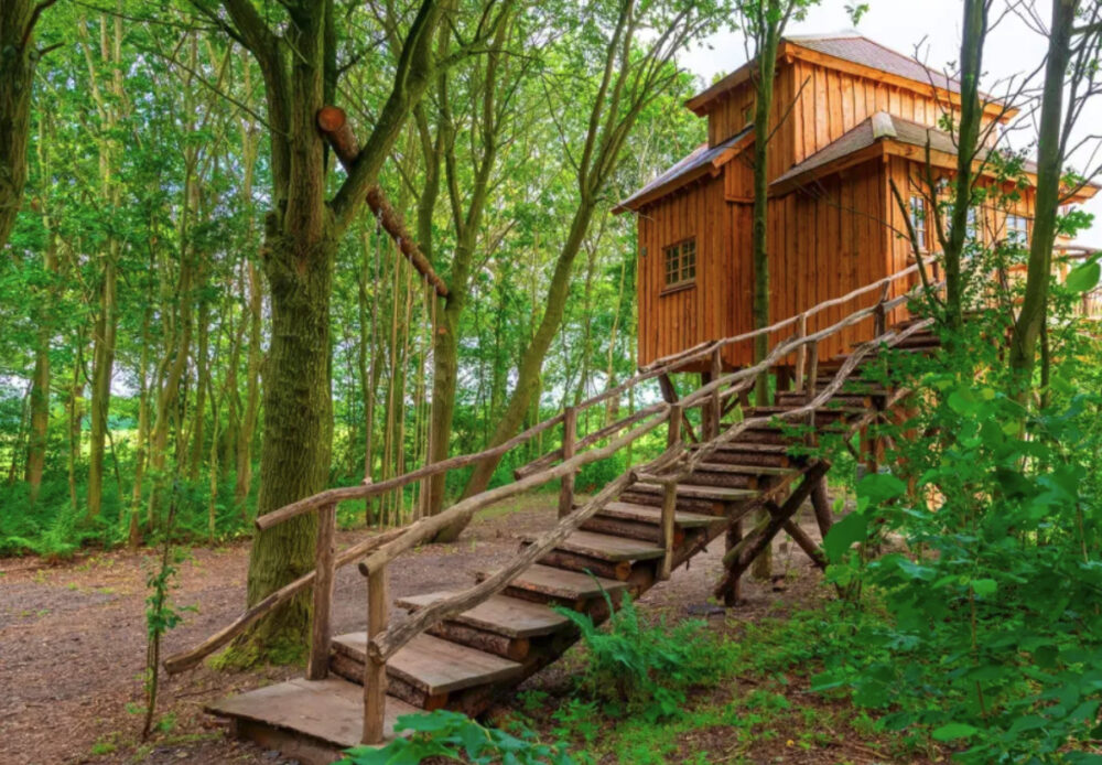 luxe boomhut Nederland