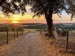 Roadtrip Limburg