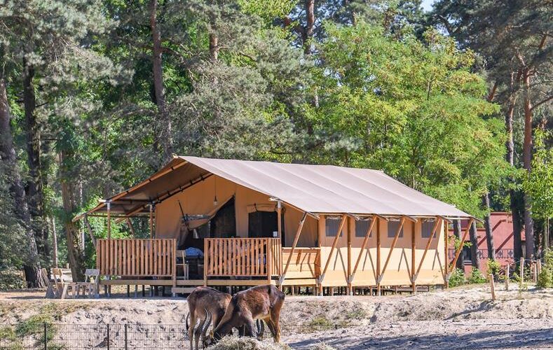 Bungalow op Beekse bergen boeken