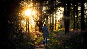 wandelroutes nederland