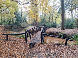 Weekendje assen wandelen