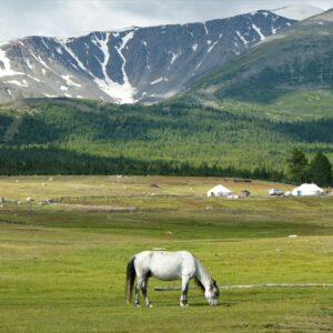 Mongolië bezoeken