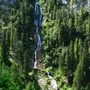 natuur Ontdek Roemenië